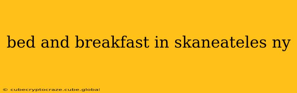 bed and breakfast in skaneateles ny