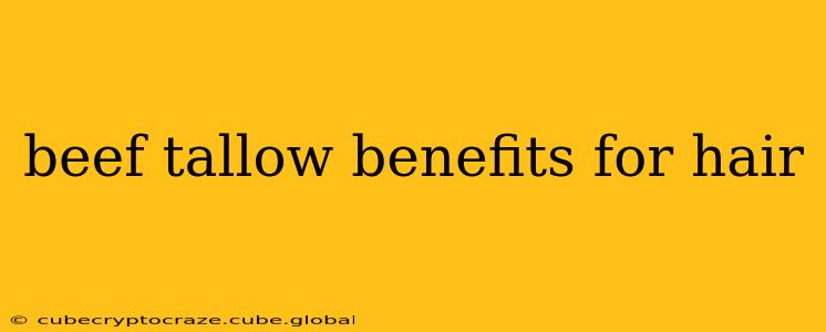 beef tallow benefits for hair