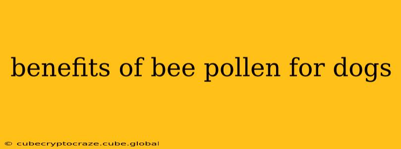 benefits of bee pollen for dogs