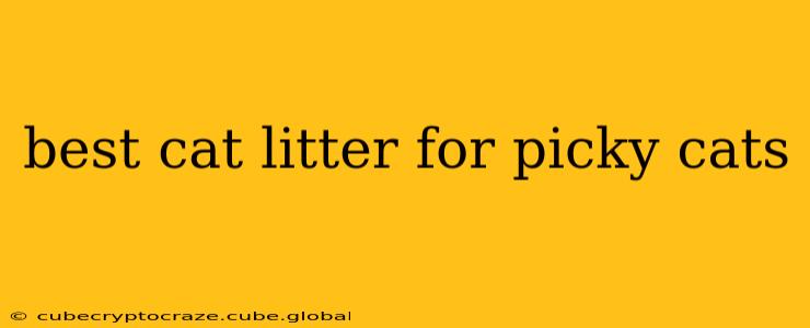 best cat litter for picky cats