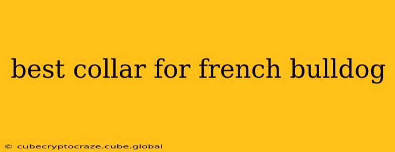 best collar for french bulldog