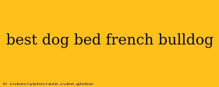 best dog bed french bulldog