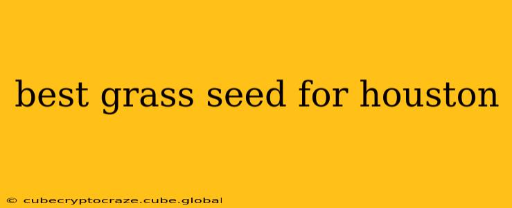 best grass seed for houston