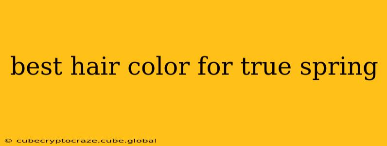 best hair color for true spring