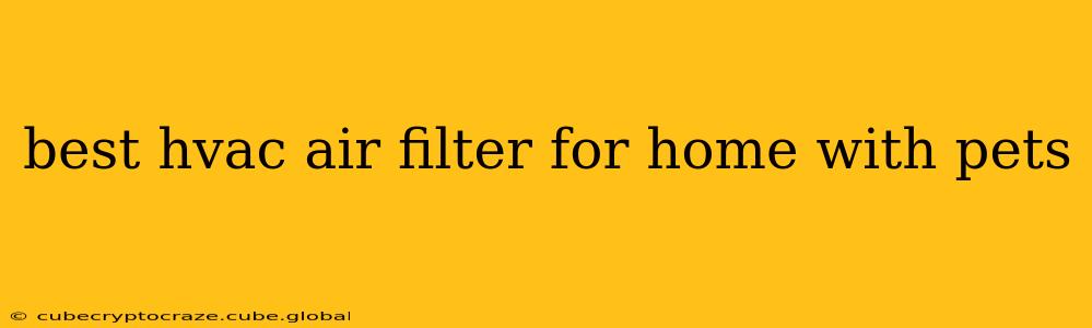 best hvac air filter for home with pets