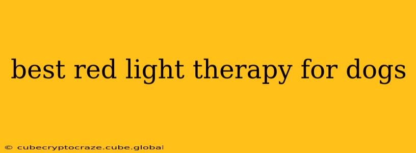 best red light therapy for dogs