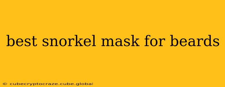 best snorkel mask for beards