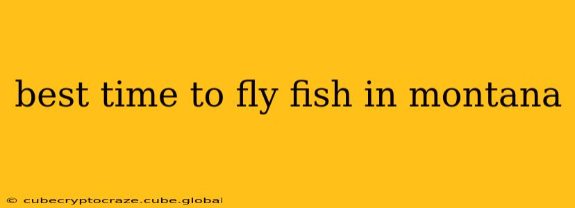 best time to fly fish in montana