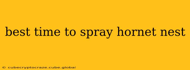 best time to spray hornet nest