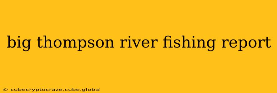 big thompson river fishing report