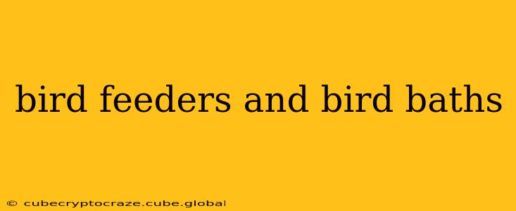 bird feeders and bird baths