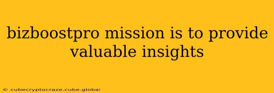 bizboostpro mission is to provide valuable insights