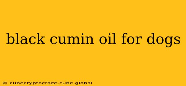 black cumin oil for dogs