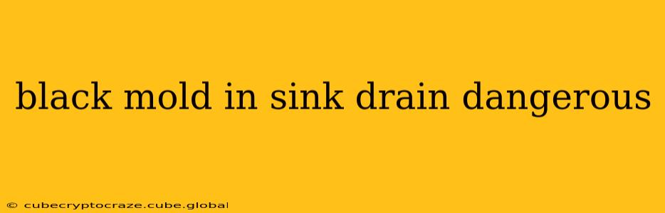 black mold in sink drain dangerous