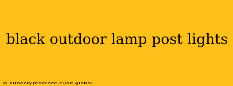black outdoor lamp post lights