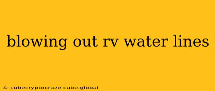 blowing out rv water lines