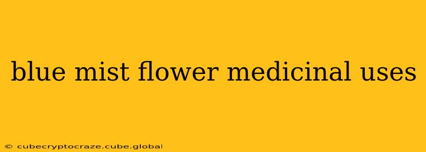 blue mist flower medicinal uses