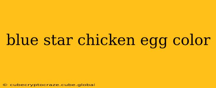 blue star chicken egg color