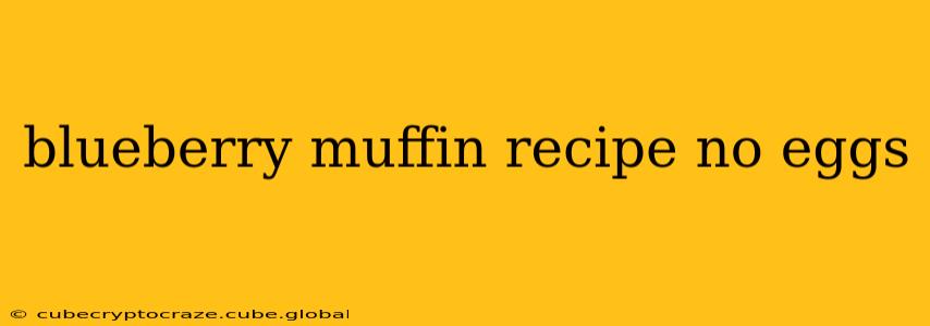 blueberry muffin recipe no eggs