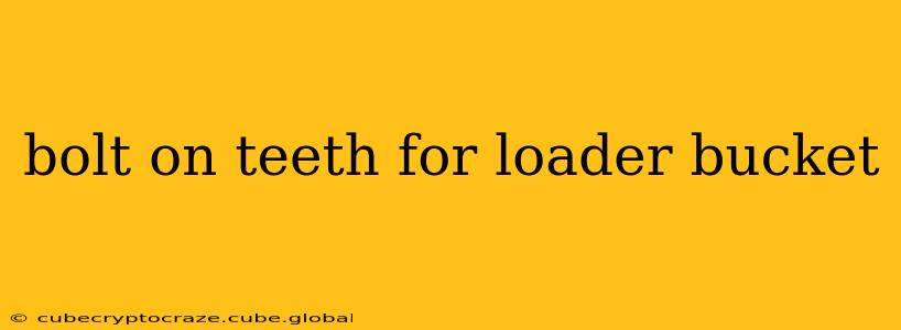 bolt on teeth for loader bucket