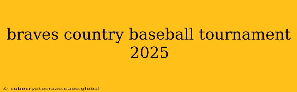 braves country baseball tournament 2025