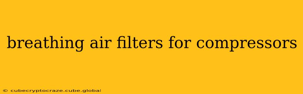 breathing air filters for compressors