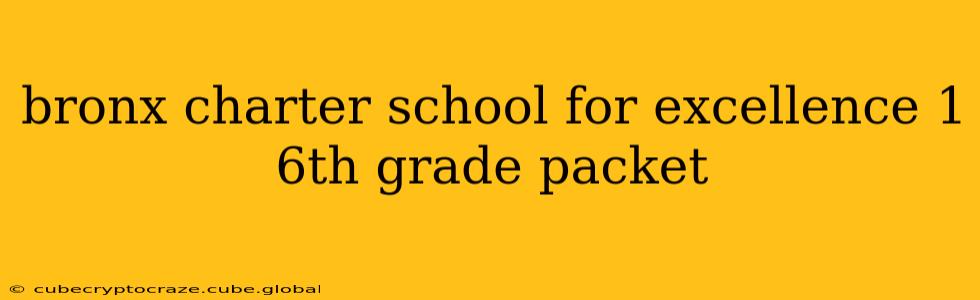 bronx charter school for excellence 1 6th grade packet