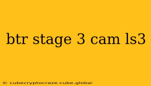 btr stage 3 cam ls3