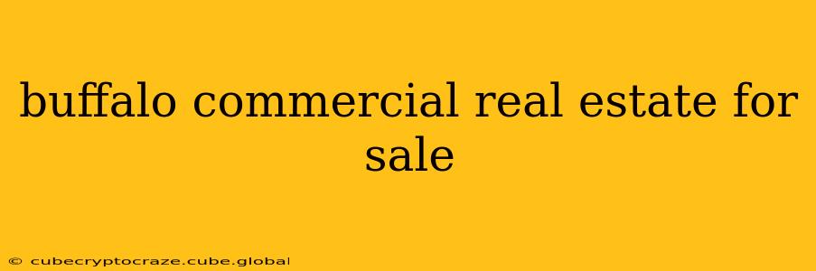 buffalo commercial real estate for sale