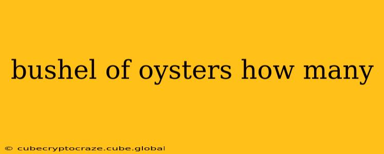 bushel of oysters how many