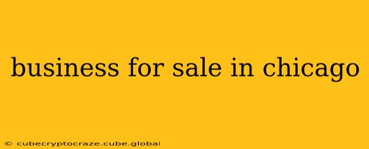 business for sale in chicago