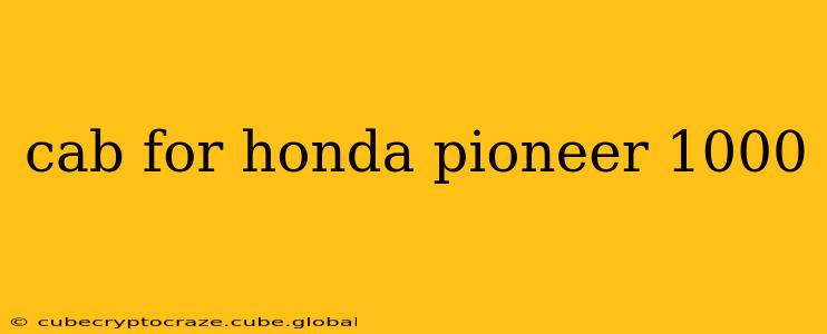 cab for honda pioneer 1000