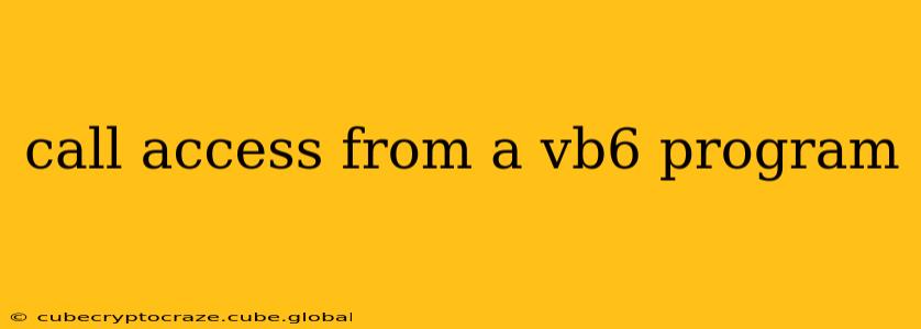 call access from a vb6 program