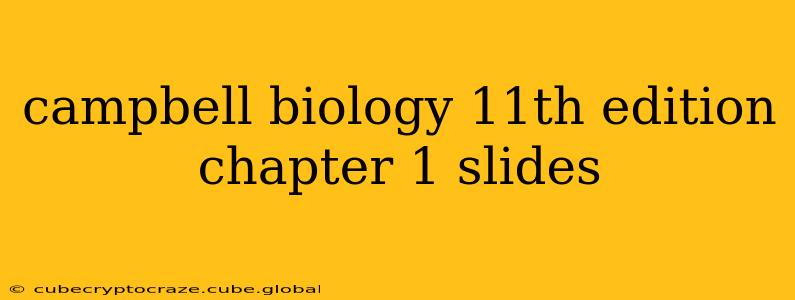 campbell biology 11th edition chapter 1 slides