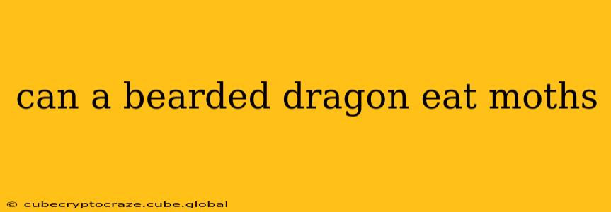 can a bearded dragon eat moths