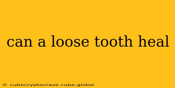 can a loose tooth heal
