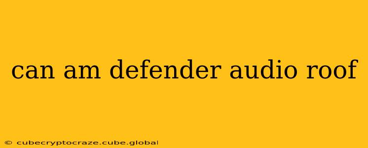can am defender audio roof