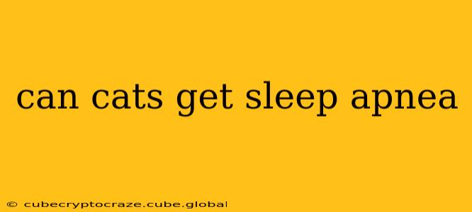 can cats get sleep apnea