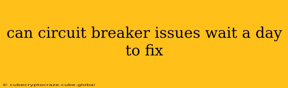 can circuit breaker issues wait a day to fix