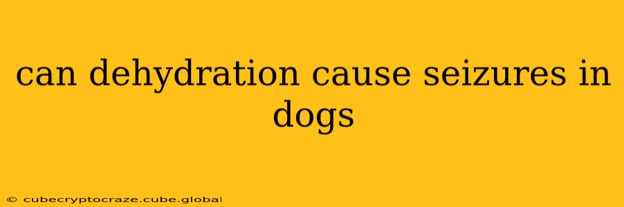 can dehydration cause seizures in dogs