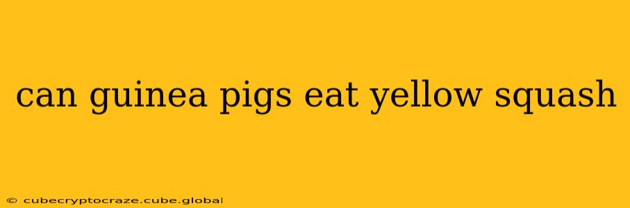 can guinea pigs eat yellow squash