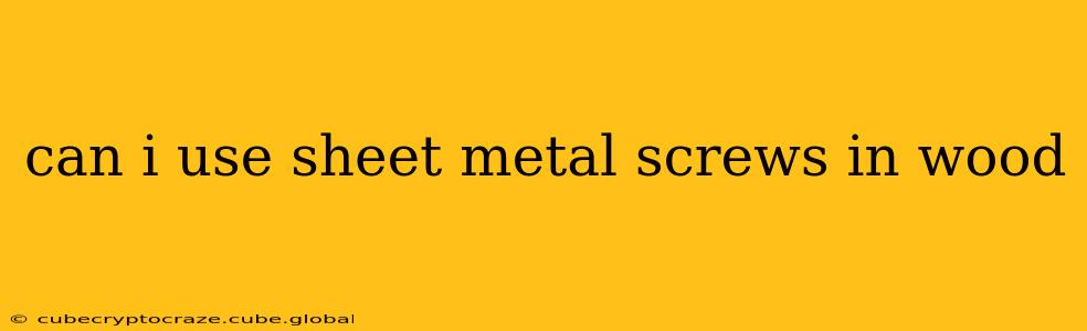 can i use sheet metal screws in wood