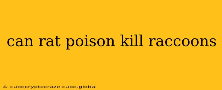 can rat poison kill raccoons