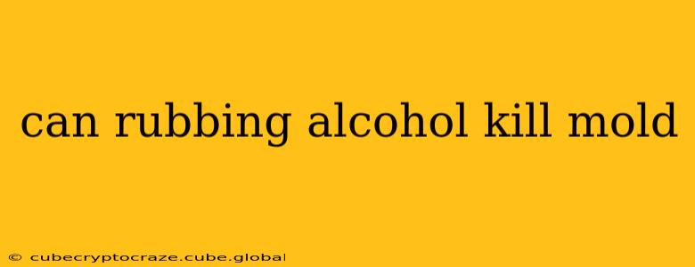 can rubbing alcohol kill mold