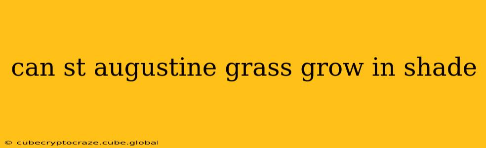 can st augustine grass grow in shade