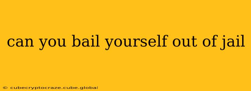 can you bail yourself out of jail