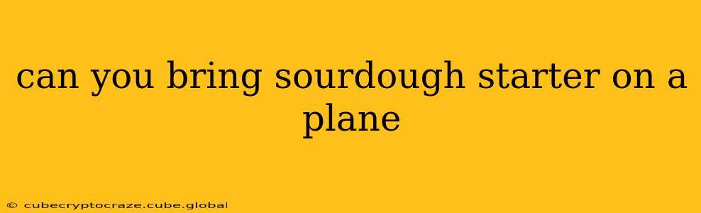 can you bring sourdough starter on a plane