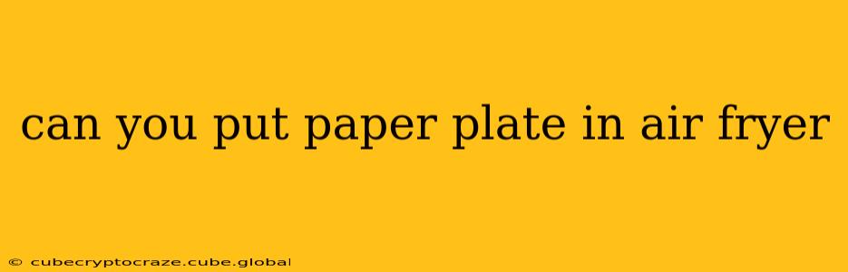 can you put paper plate in air fryer