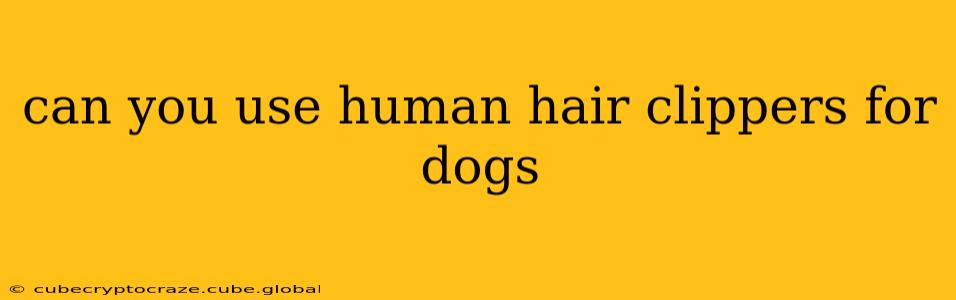 can you use human hair clippers for dogs