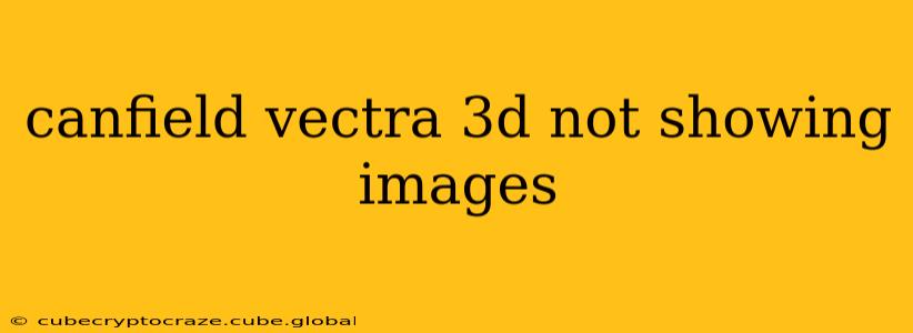 canfield vectra 3d not showing images